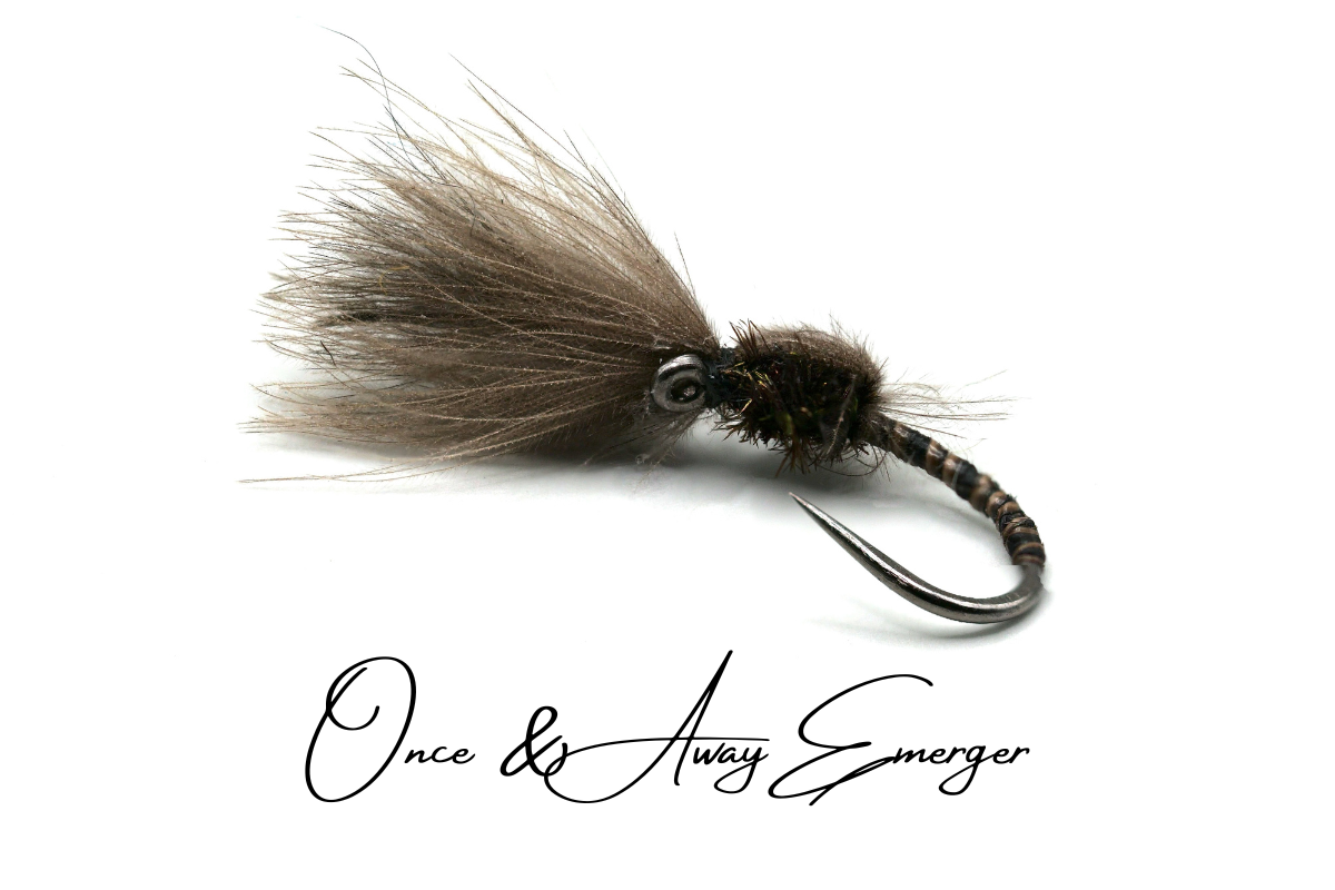 Once & Away CdC Emerger