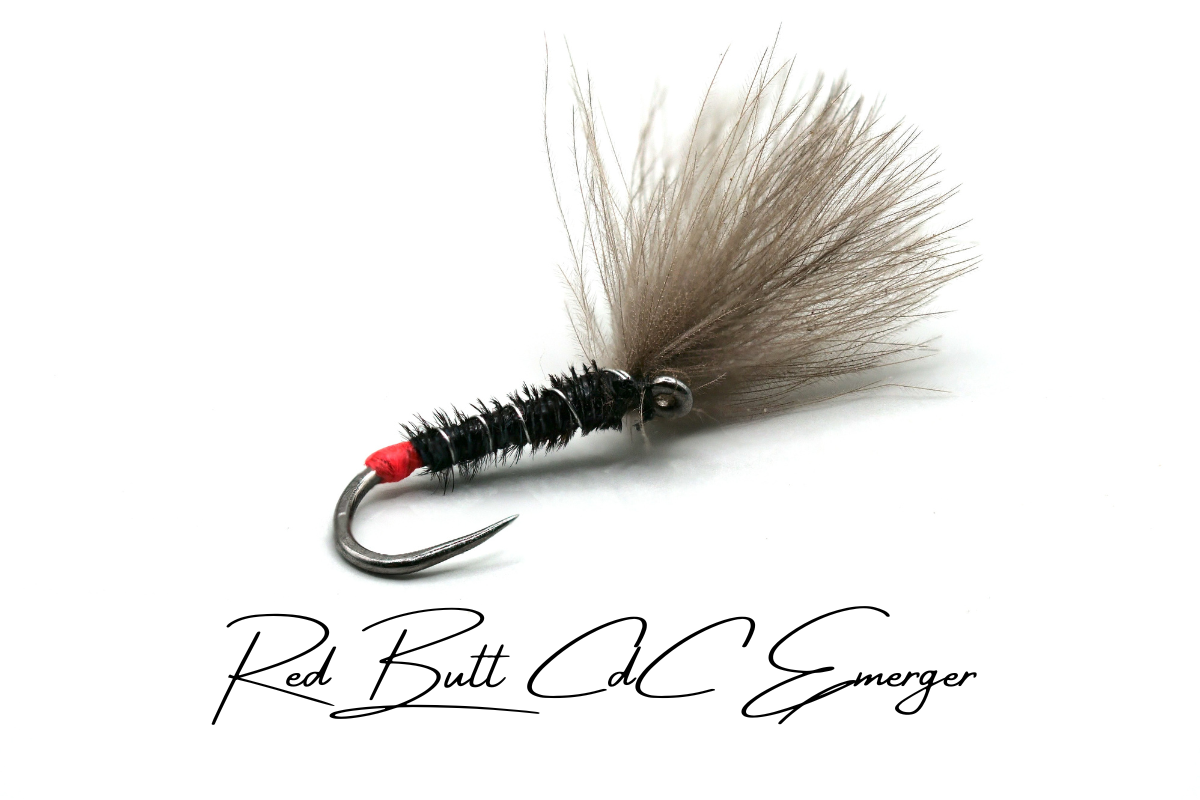 Red-Butt Shuttlecock CdC Emerger
