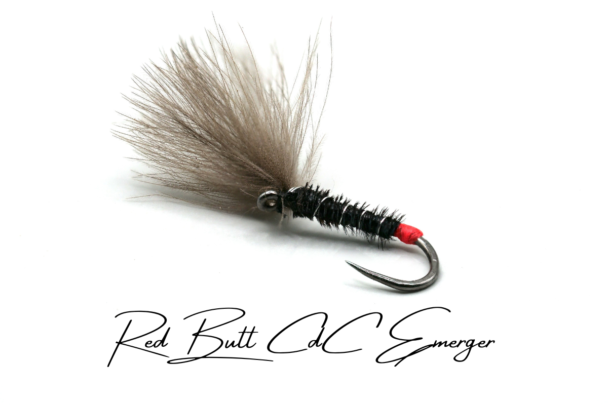 Red-Butt Shuttlecock CdC Emerger