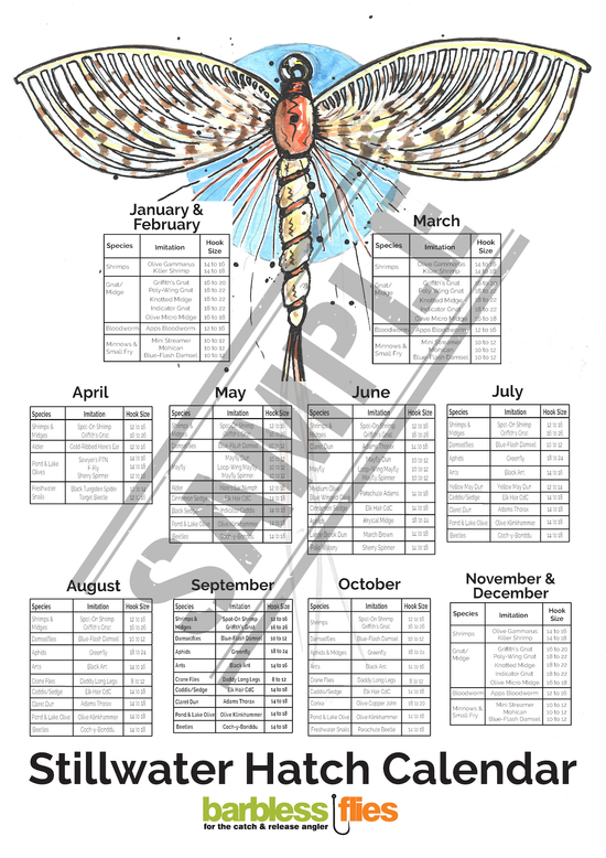 Hatch Chart Poster – Barbless Flies