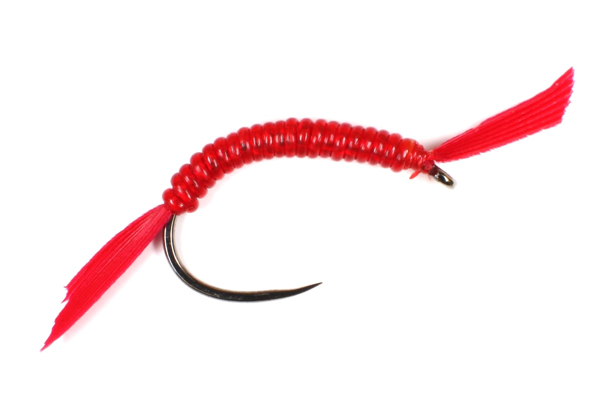 Bloodworm Selection