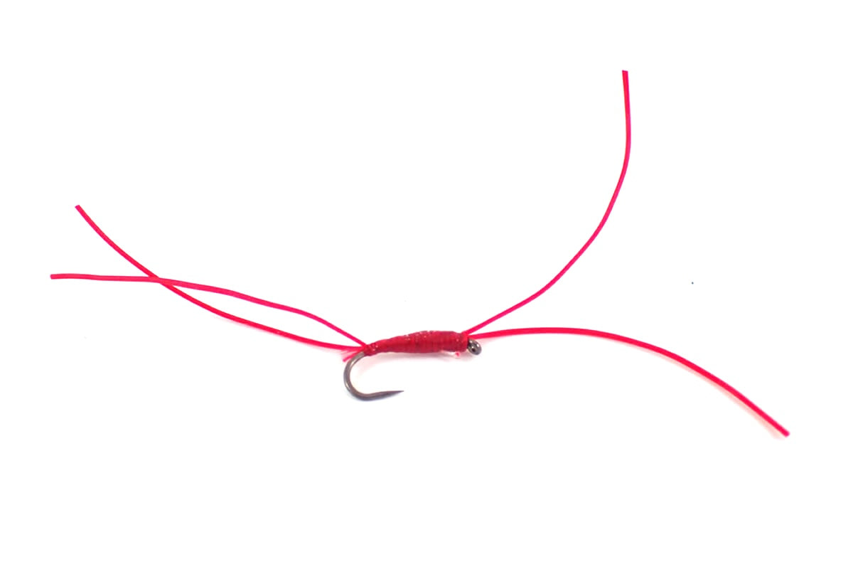 Apps Bloodworm