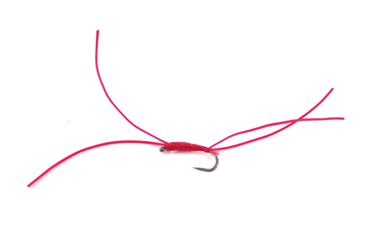 Apps Bloodworm