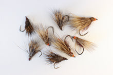 Load image into Gallery viewer, Bosnian Deer-Hair Caddis Selection
