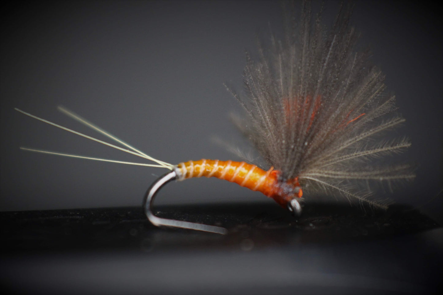 Bosnian Early/Late Season Dry Fly Selection