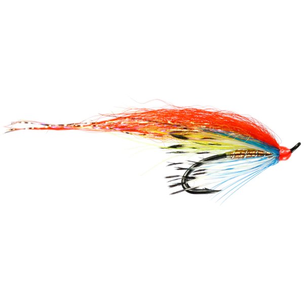 The Swallow (Double)