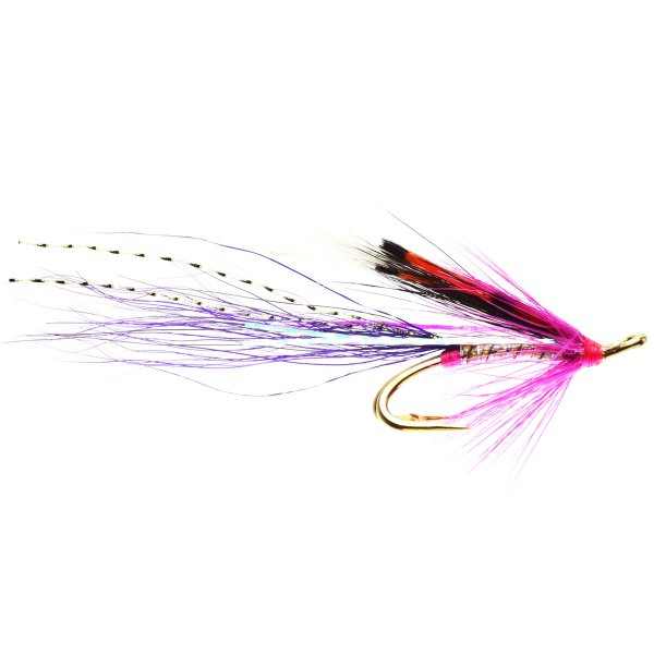 Donny's Shrimp (Double)