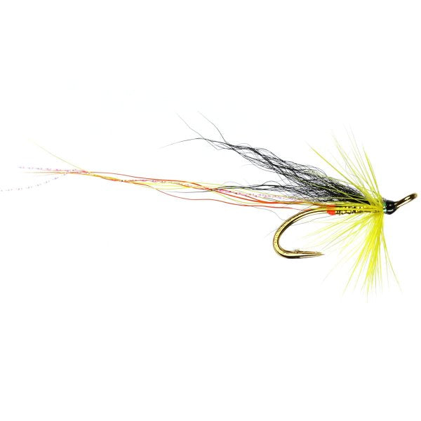 Orton Shrimp (Double)
