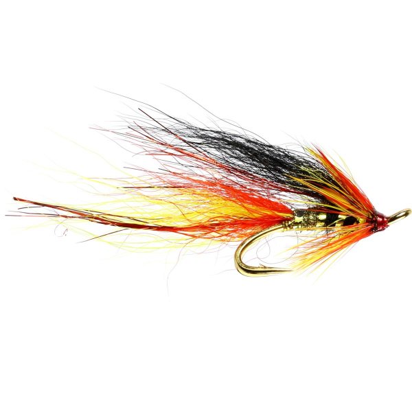 Park Shrimp (Double)