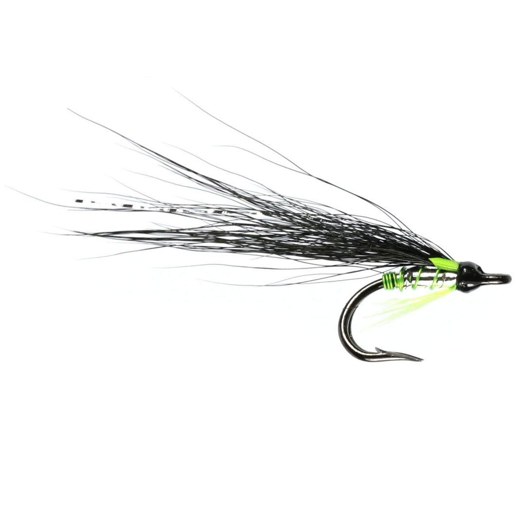 Silver Tosh (Nordic Double)