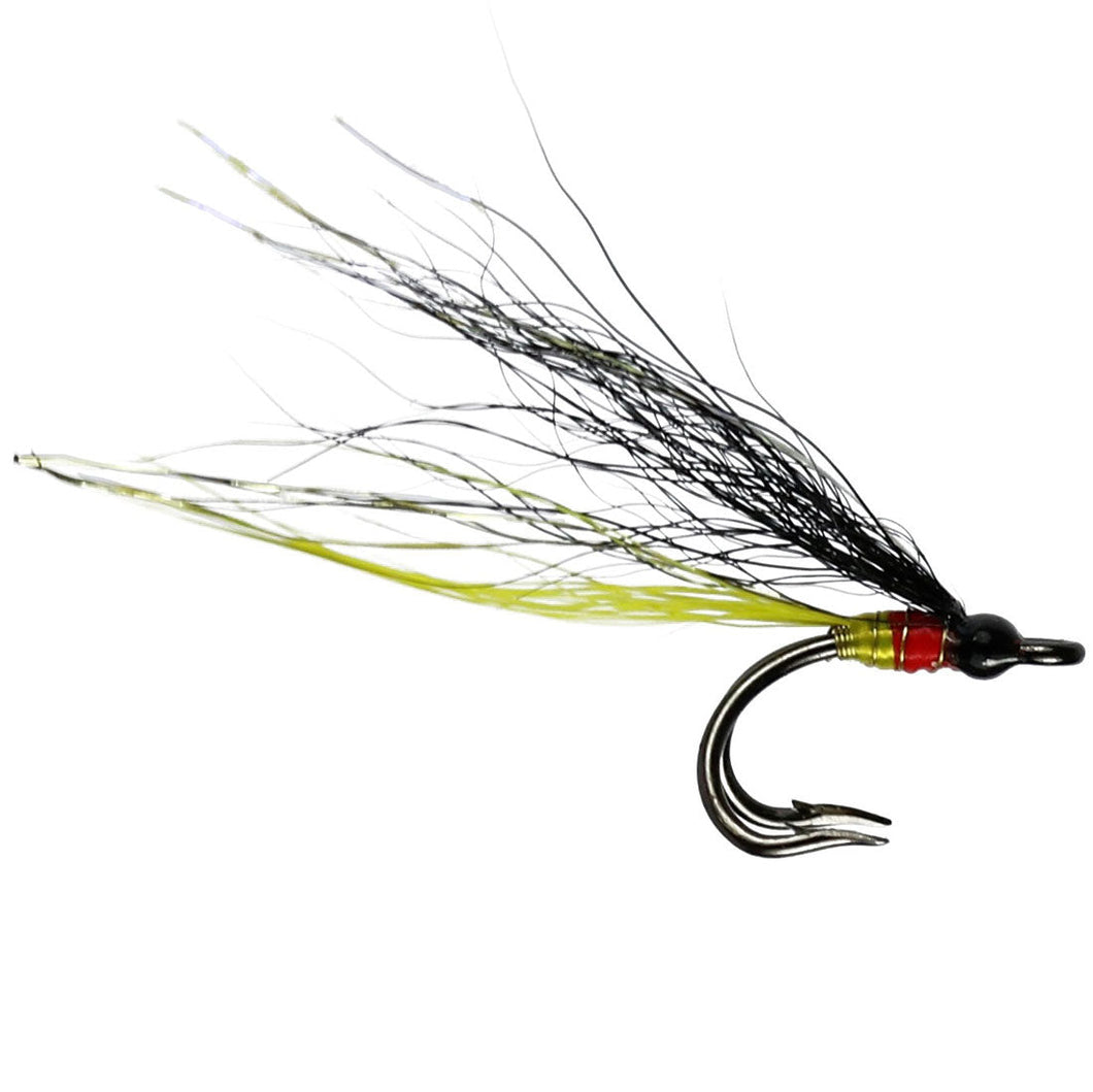 Tadpole (Nordic Double)