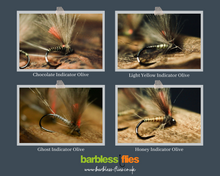 Load image into Gallery viewer, Bosnian Indicator Olives
