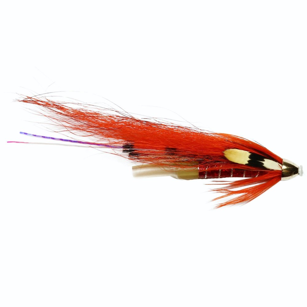 Ally Dog Tungsten (Cone Head)