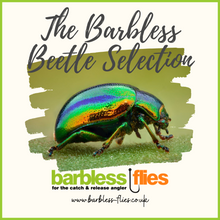 Load image into Gallery viewer, The Barbless Beetle Selection
