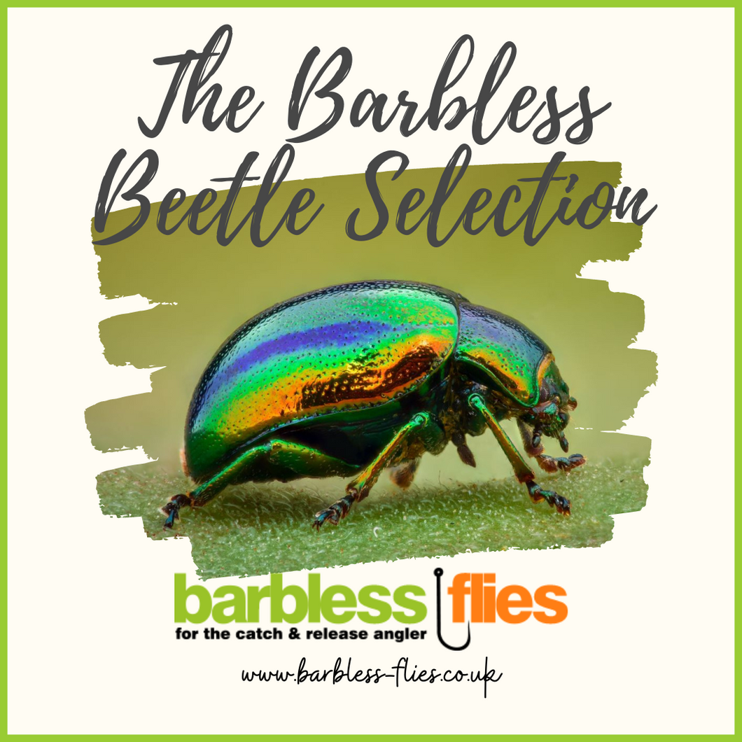 The Barbless Beetle Selection