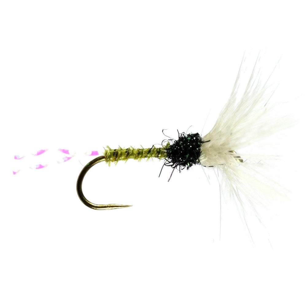 Olive Funnel