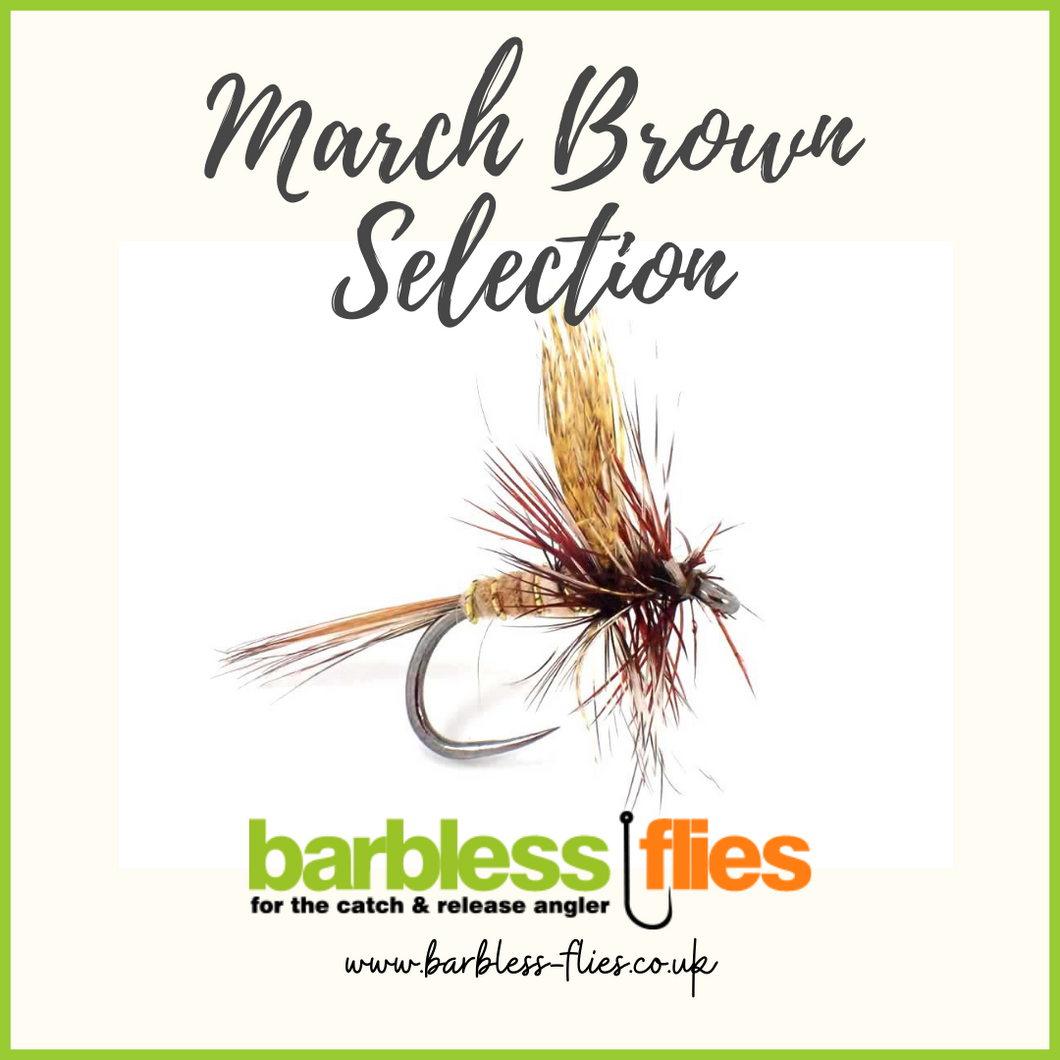 March Brown Selection