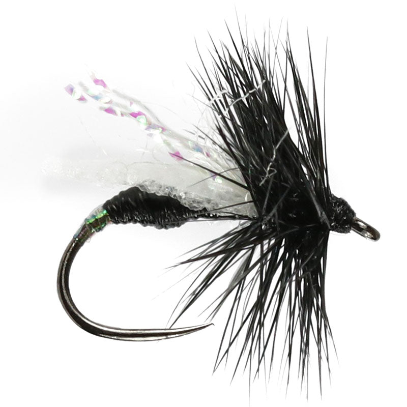Black Gnat