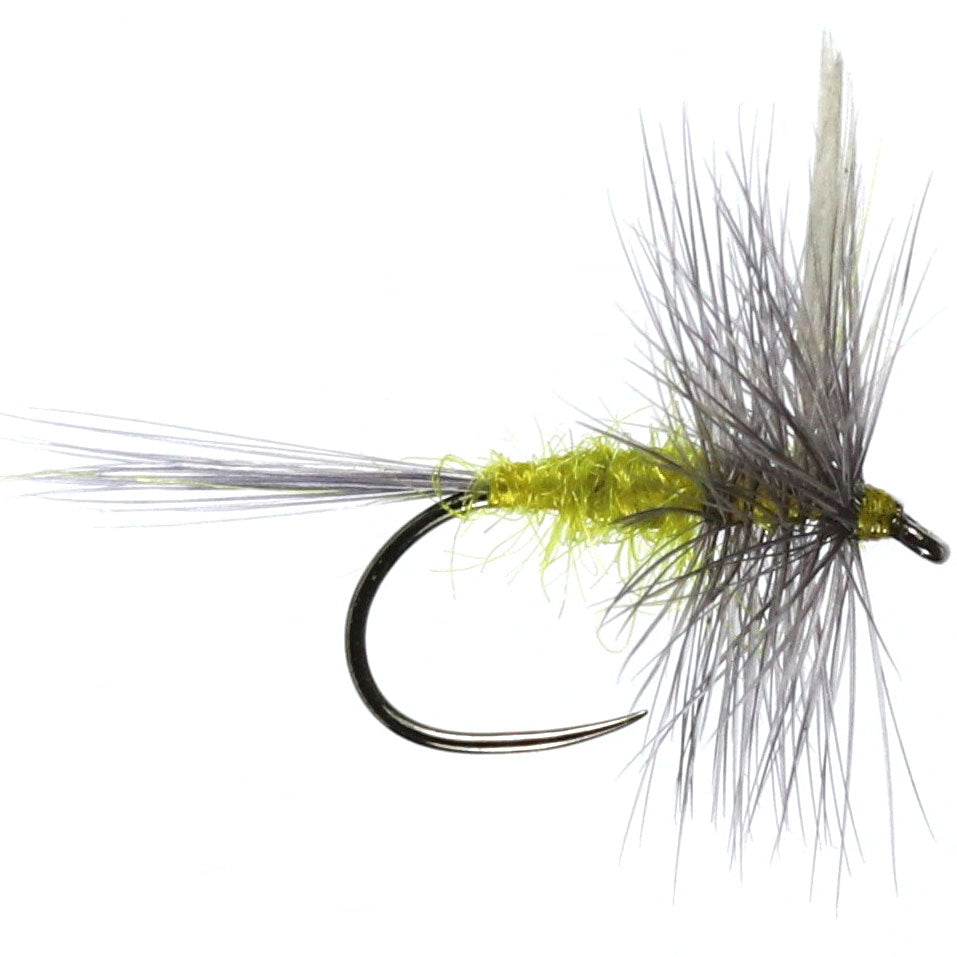 Blue Winged Olive