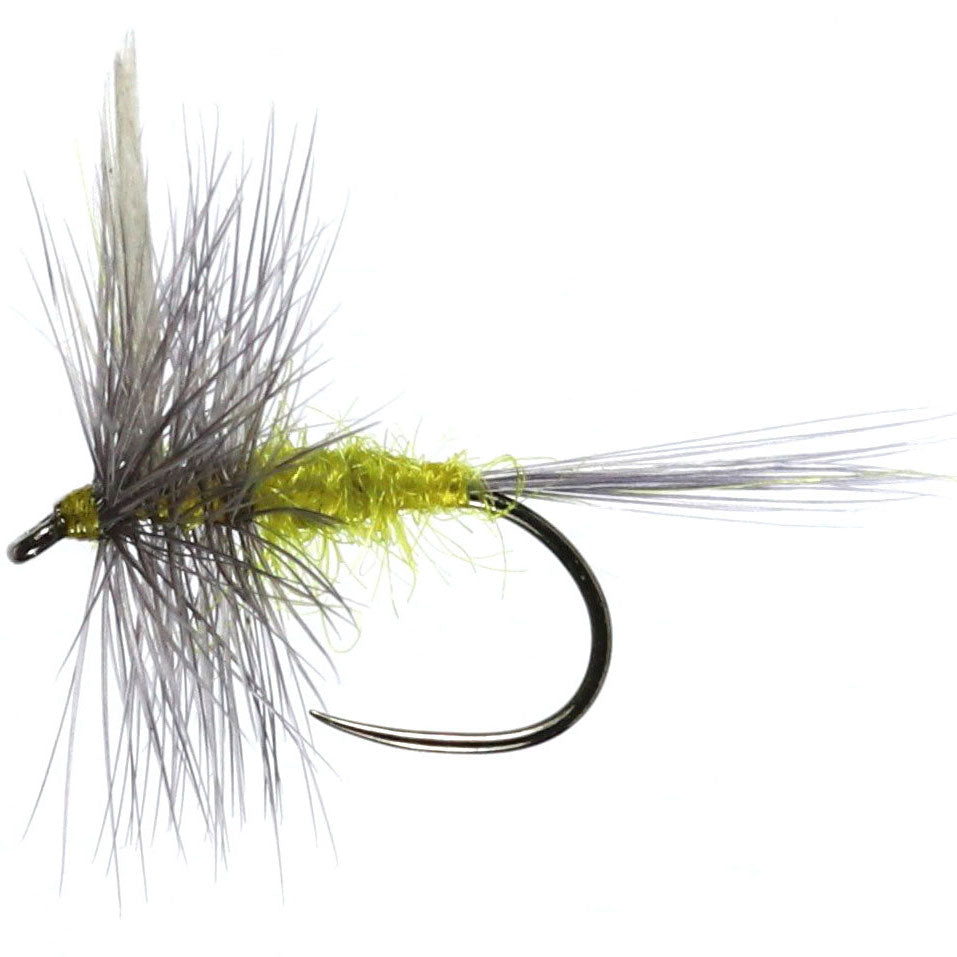 Blue Winged Olive