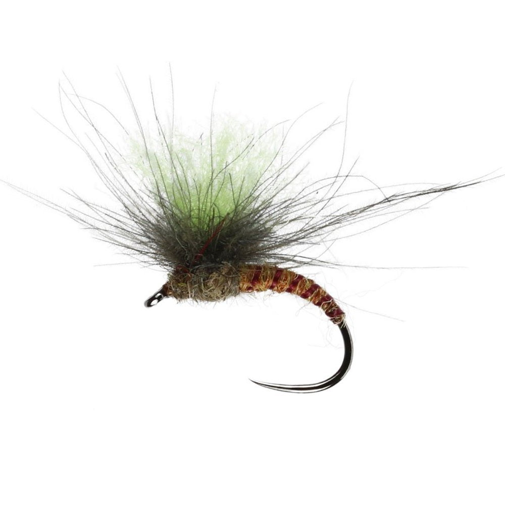 Fussy Spinner
