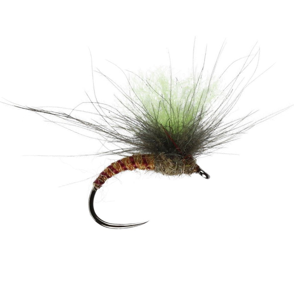 Fussy Spinner