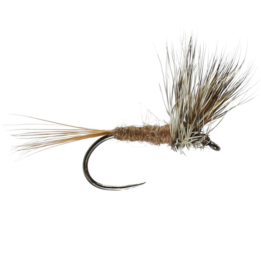 March Brown Upright