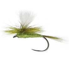 Load image into Gallery viewer, Parachute Olive Dun
