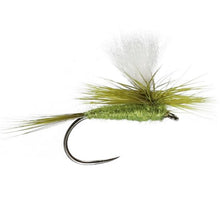 Load image into Gallery viewer, Parachute Olive Dun
