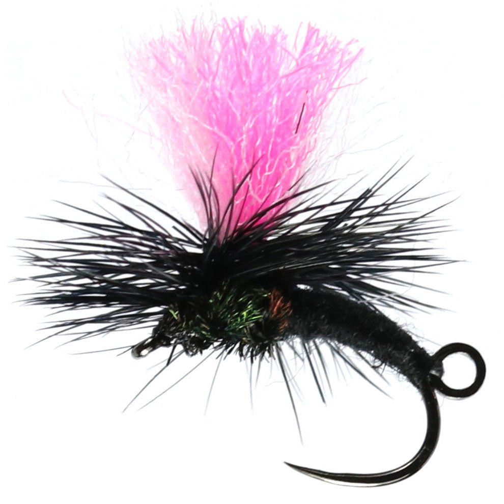 Black Dinkhamer