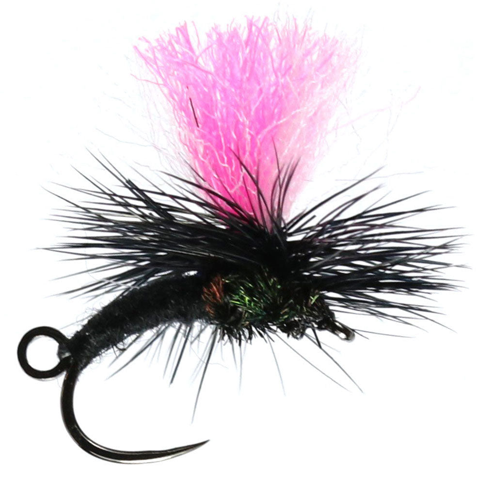Black Dinkhamer