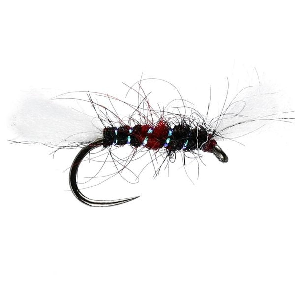 Bibio Shipmans Buzzer Dry