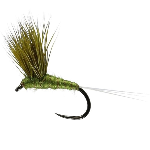 Olive Double Decker