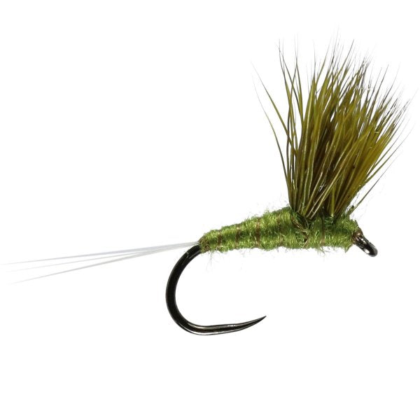 Olive Double Decker
