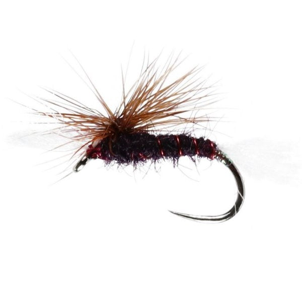 Claret Cripple Midge