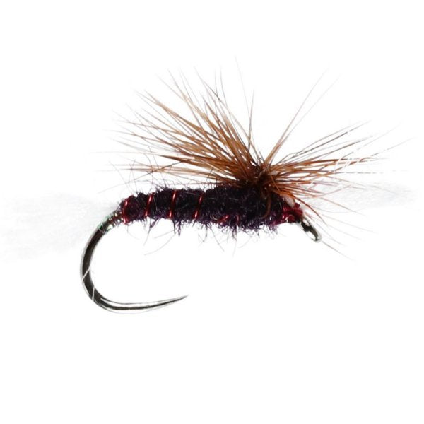 Claret Cripple Midge