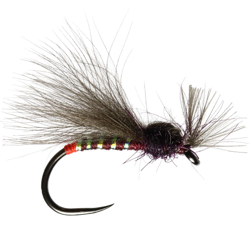 Claret CdC Shipmans Buzzer