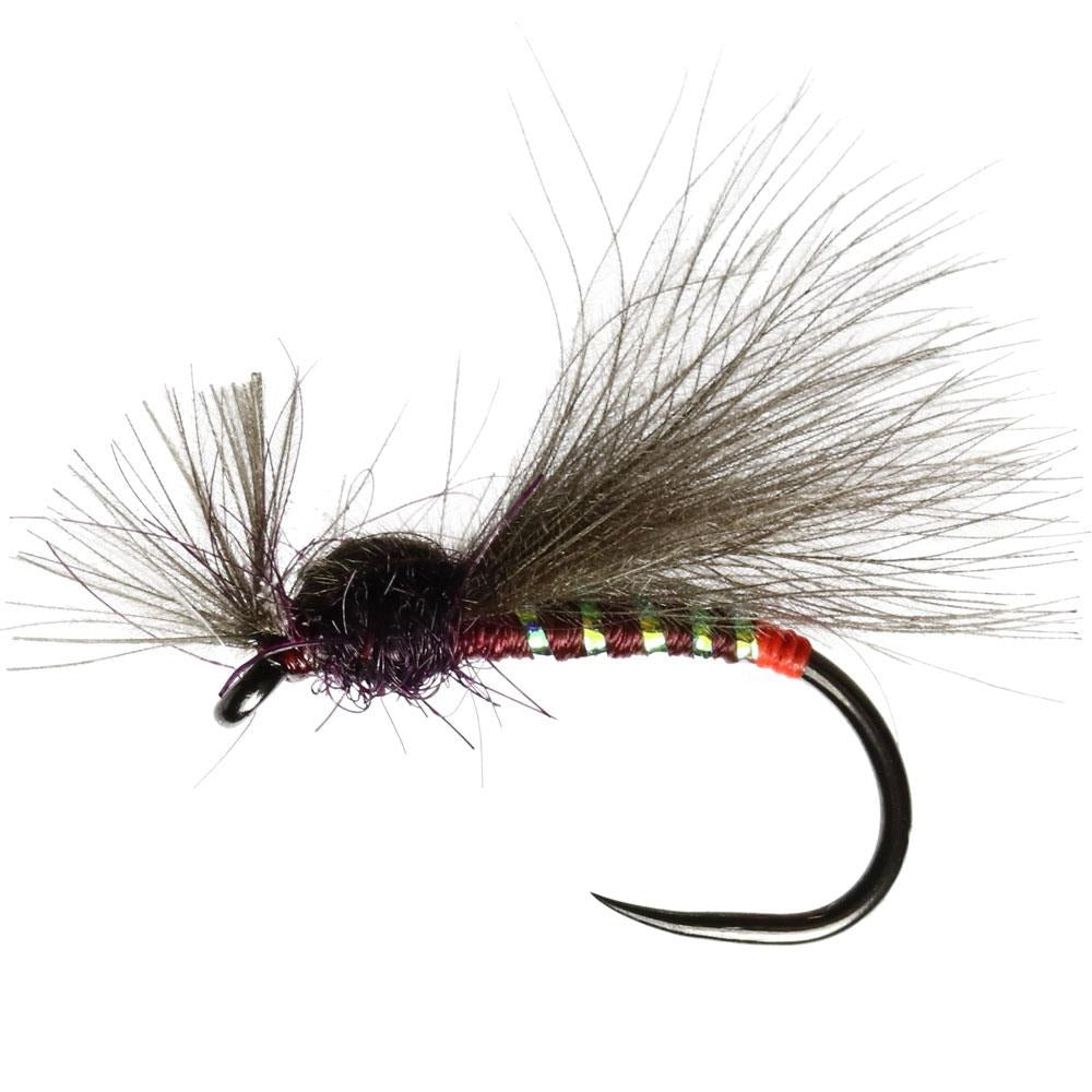 Claret CdC Shipmans Buzzer