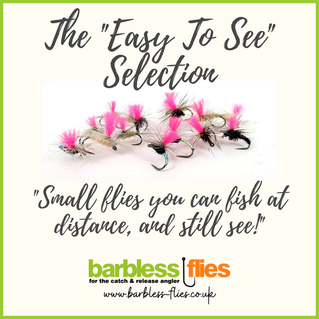 'Easy To See' Selection