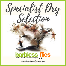Load image into Gallery viewer, Specialist Dry Selection
