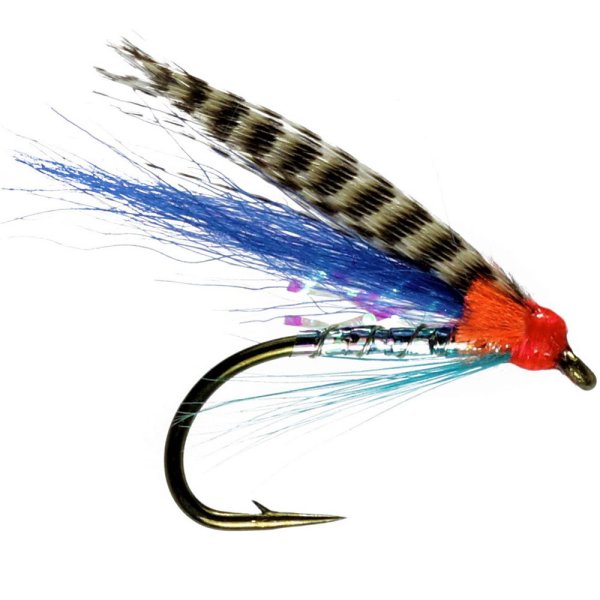 Wee Medicine Fly Single