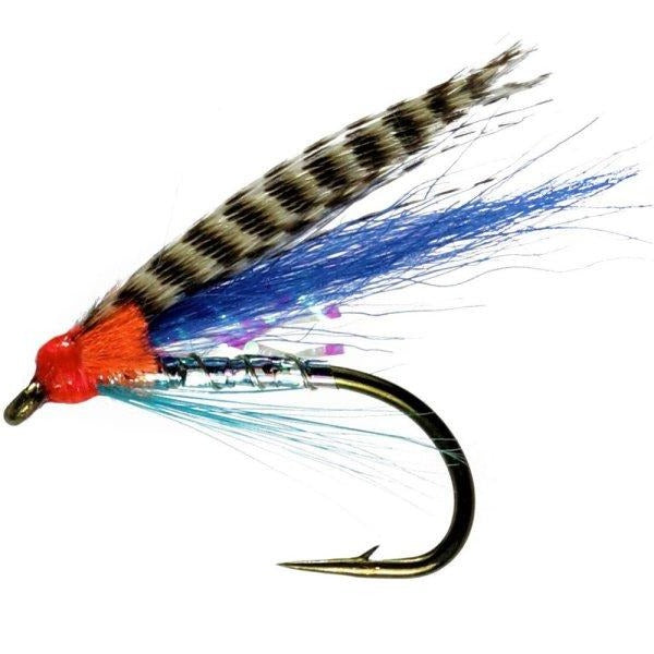 Wee Medicine Fly Single