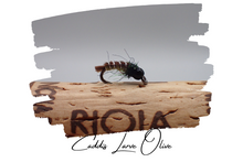 Load image into Gallery viewer, Caddis Larva Olive (Beaded)
