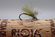 Load image into Gallery viewer, Fluttering Little Olive
