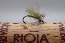 Load image into Gallery viewer, Fluttering Little Olive
