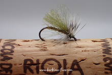 Load image into Gallery viewer, Fluttering Little Olive

