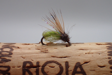 Load image into Gallery viewer, Sparkle Pupa
