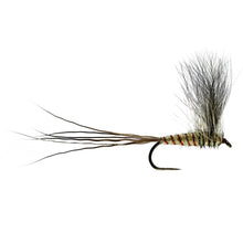 Load image into Gallery viewer, Mayfly Taster Selection

