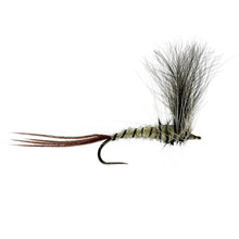 Load image into Gallery viewer, Mayfly Taster Selection

