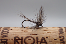 Load image into Gallery viewer, Mosquito
